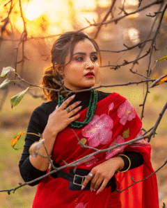 Hibiscus red georgette saree