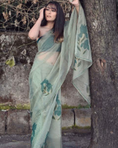 Iris sage green organza saree